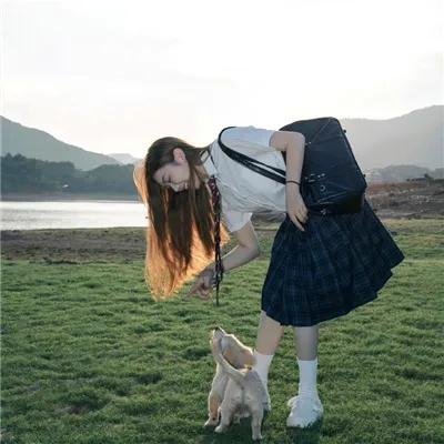越狱第五季